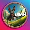Briah on Pulse